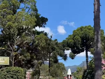 VENTA TERRENO DE 56.0636 HAS. SECTOR SANTA CRUZ, DISTRITO DE OXAPAMPA.