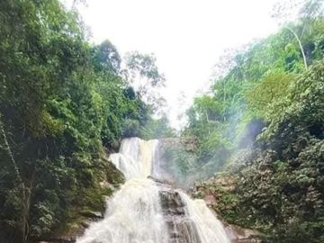 VENTA TERRENO DE 56.0636 HAS. SECTOR SANTA CRUZ, DISTRITO DE OXAPAMPA.