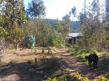 Casa Loteo Los Molles , Pichilemu