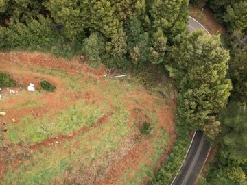 ¡Oportunidad en Venta – Parcela con Casa y Cabaña en Punucapa, a solo 17 km de Valdivia!