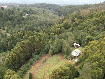 ¡Oportunidad en Venta – Parcela con Casa y Cabaña en Punucapa, a solo 17 km de Valdivia!