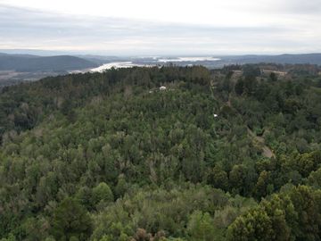 ¡Oportunidad en Venta – Parcela con Casa y Cabaña en Punucapa, a solo 17 km de Valdivia!