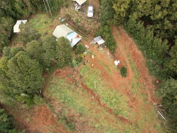 ¡Oportunidad en Venta – Parcela con Casa y Cabaña en Punucapa, a solo 17 km de Valdivia!