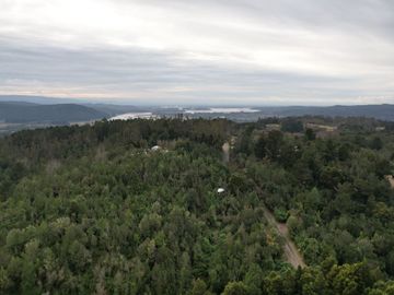 ¡Oportunidad en Venta – Parcela con Casa y Cabaña en Punucapa, a solo 17 km de Valdivia!