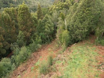¡Oportunidad en Venta – Parcela con Casa y Cabaña en Punucapa, a solo 17 km de Valdivia!