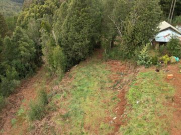 ¡Oportunidad en Venta – Parcela con Casa y Cabaña en Punucapa, a solo 17 km de Valdivia!