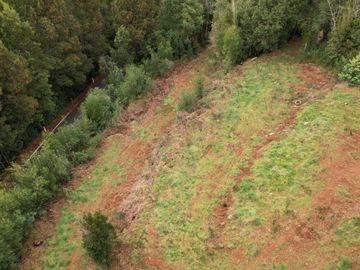 ¡Oportunidad en Venta – Parcela con Casa y Cabaña en Punucapa, a solo 17 km de Valdivia!