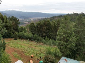 ¡Oportunidad en Venta – Parcela con Casa y Cabaña en Punucapa, a solo 17 km de Valdivia!