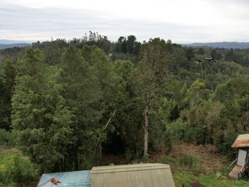 ¡Oportunidad en Venta – Parcela con Casa y Cabaña en Punucapa, a solo 17 km de Valdivia!
