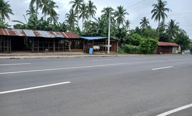 4,425 sqm, Commercial Lot in Mahabangkahoy, Indang Cavite for SALE! 30 meters frontage at 28M