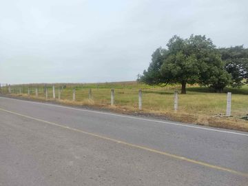 RANCHO EN VENTA. 
EN TIERRA BLANCA, VERACRUZ.