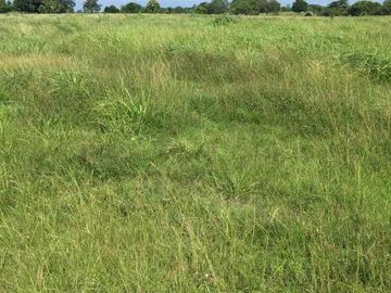 RANCHO EN VENTA. 
EN TIERRA BLANCA, VERACRUZ.