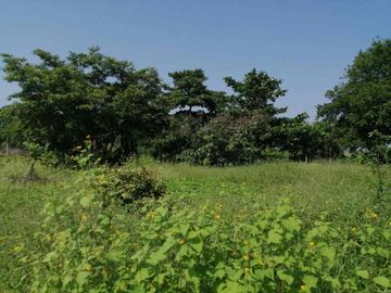 RANCHO EN VENTA. 
EN TIERRA BLANCA, VERACRUZ.