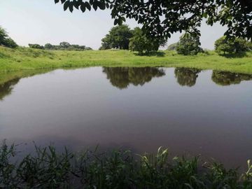 RANCHO EN VENTA. 
EN TIERRA BLANCA, VERACRUZ.