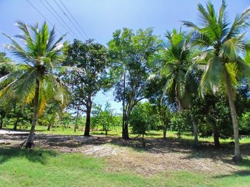 LOTE EN VENTA  LAS PETRONITAS - GALAPA ATLANTICO