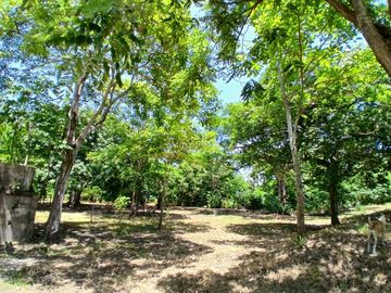 LOTE EN VENTA  LAS PETRONITAS - GALAPA ATLANTICO