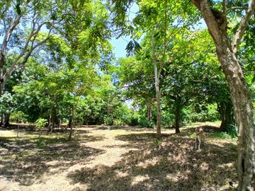 LOTE EN VENTA  LAS PETRONITAS - GALAPA ATLANTICO