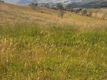 Terreno de venta en Otavalo sector Mariscal Sucre