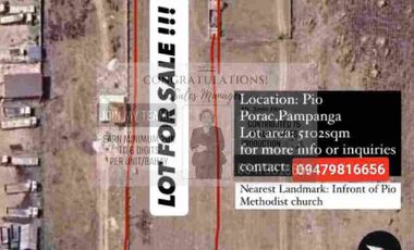 Farmlot For Sale in Pio Porac Pampanga