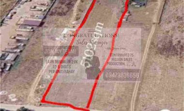Farmlot For Sale in Pio Porac Pampanga