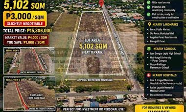 Farmlot For Sale in Pio Porac Pampanga