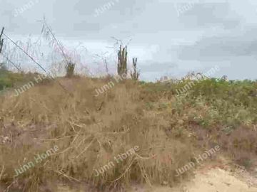 Terreno en Venta - Punta Blanca