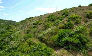 VENDO TERRENO A ORILLA DE CARRETERA Y RIO
