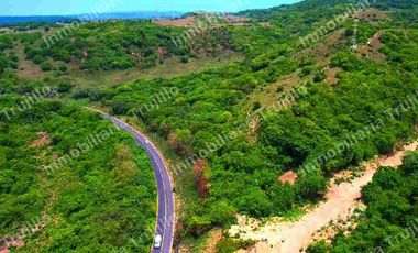 VENDO TERRENO A ORILLA DE CARRETERA Y RIO