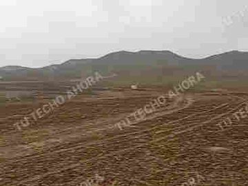 1 HECTÁREA EN CHANCAY