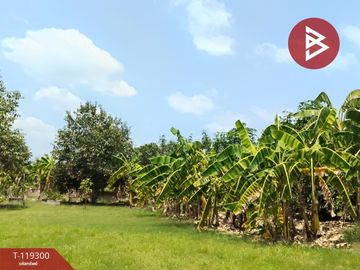 ขายที่ดิน สวนผสม เนื้อที่ 4 ไร่ 2 งาน 13 ตารางวา ไทรใหญ่ นนทบุรี