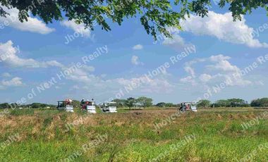 328sqm Lot For Sale near GOLF COURSE at Beverly Place Subdivision