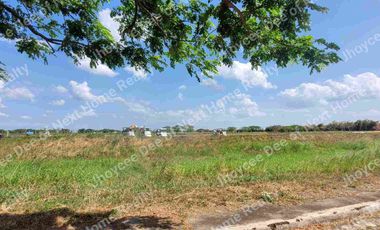 328sqm Lot For Sale near GOLF COURSE at Beverly Place Subdivision