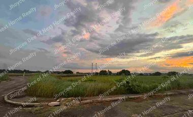 328sqm Lot For Sale near GOLF COURSE at Beverly Place Subdivision
