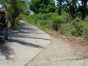 For Sale: Agricultural Lot located at Macalamcam A Rosario Batangas