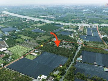Urgent Sale! Agricultural Land with Coconut Plantation, 8+ Rai in Ban Phaeo! Great Price in Nong Nok Khai, Krathum Baen, Samut Sakhon | Green Zone |
