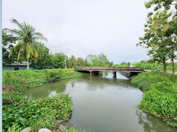 Urgent Sale! Agricultural Land with Coconut Plantation, 8+ Rai in Ban Phaeo! Great Price in Nong Nok Khai, Krathum Baen, Samut Sakhon | Green Zone |