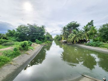 Urgent Sale! Agricultural Land with Coconut Plantation, 8+ Rai in Ban Phaeo! Great Price in Nong Nok Khai, Krathum Baen, Samut Sakhon | Green Zone |