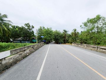 Urgent Sale! Agricultural Land with Coconut Plantation, 8+ Rai in Ban Phaeo! Great Price in Nong Nok Khai, Krathum Baen, Samut Sakhon | Green Zone |