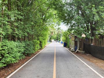 Urgent Sale! Agricultural Land with Coconut Plantation, 8+ Rai in Ban Phaeo! Great Price in Nong Nok Khai, Krathum Baen, Samut Sakhon | Green Zone |