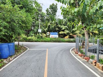 Urgent Sale! Agricultural Land with Coconut Plantation, 8+ Rai in Ban Phaeo! Great Price in Nong Nok Khai, Krathum Baen, Samut Sakhon | Green Zone |