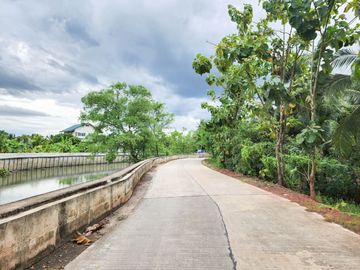 Urgent Sale! Agricultural Land with Coconut Plantation, 8+ Rai in Ban Phaeo! Great Price in Nong Nok Khai, Krathum Baen, Samut Sakhon | Green Zone |