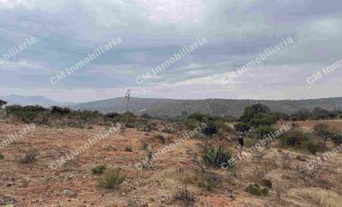 TERRENO DE 6.5 Hectáreas en milpa vieja ZARAGOZA de oportunidad, escritura pública