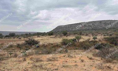 TERRENO DE 6.5 Hectáreas en milpa vieja ZARAGOZA de oportunidad, escritura pública