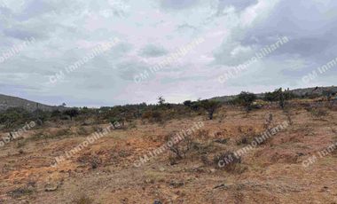 TERRENO DE 6.5 Hectáreas en milpa vieja ZARAGOZA de oportunidad, escritura pública