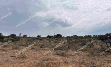 TERRENO DE 6.5 Hectáreas en milpa vieja ZARAGOZA de oportunidad, escritura pública