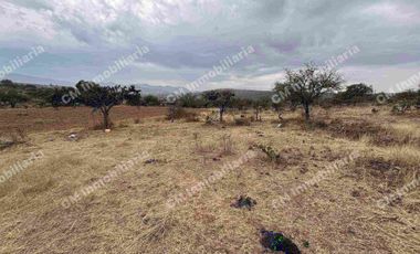 TERRENO DE 6.5 Hectáreas en milpa vieja ZARAGOZA de oportunidad, escritura pública