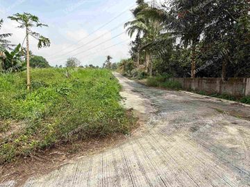 RESIDENTIAL FARM LOT IN MENDEZ CAVITE - TITLED LOT