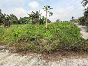 RESIDENTIAL FARM LOT IN MENDEZ CAVITE - TITLED LOT