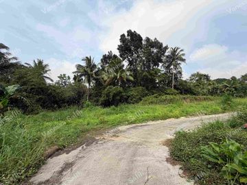 RESIDENTIAL FARM LOT IN MENDEZ CAVITE - TITLED LOT