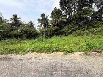 RESIDENTIAL FARM LOT IN MENDEZ CAVITE - TITLED LOT